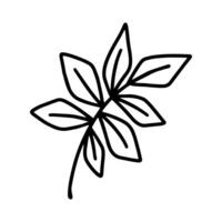 hand drawn branches and leaves of tropical plants in doodle style isolated on white background. Black outline coloring page for adult and kids. Synadenium, monstera, palm leaf. vector