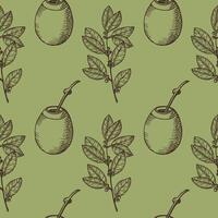 Engraved seamless pattern with Yerba Mate and Pumpkin Calabash. Hand drawn repeating background with mate branch, tea leaves. For label, card, wrapping, paper. Food, medical plant, hot drink vector