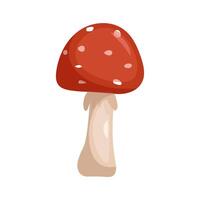 Fly agaric, illustration of a mushroom. vector