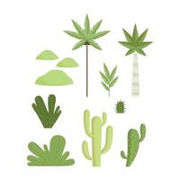 Tropical and desert botanical plants set, landscape constructor design elements Illustration vector