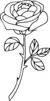 a single rose outline vector