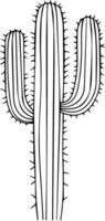 a Cactus outline illustration vector