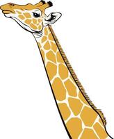 A giraffe with a long neck and long neck vector
