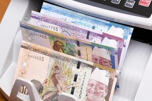 Gambian dalasi in the counting machine photo