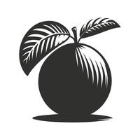 Clean Hand Drawn Peach Outline vector