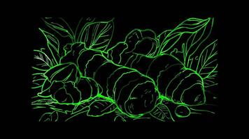 Neon frame effect, Ginger Root - Symbolizes spices or healthy ingredients on black background video