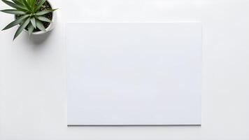Top view blank space white square paper mock up with little plant on white table for creative design photo