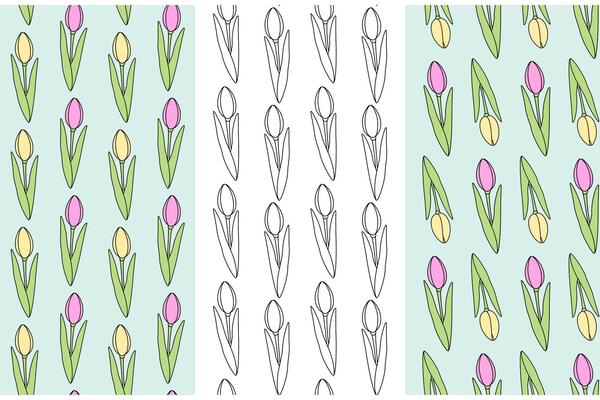 Outline and colorful hand drawn tulips Seamless pattern. Set of 3 Spring flower Greeting Background. Isolated illustration Wrapping, wallpaper or web, poster, banner, brochure, price tag, label