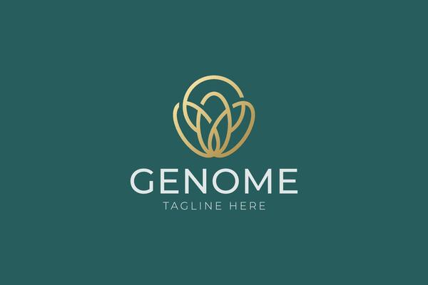Abstract Linear Ellipse and Circle Logo Luxury Concept Business Brand Identity