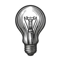 Vintage lightbulbs collection with energy efficient and saving bulbs of different shapes isolated. vector
