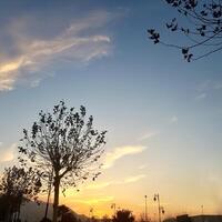 un sinfonía de puestas de sol con vibrante cielo colores foto