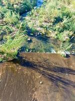 Where Lush Greenery Meets Sparkling Waters photo