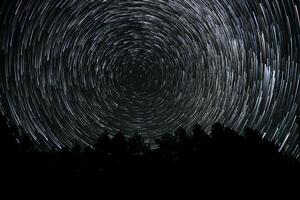 Long exposure captures the mesmerizing star trails circling around the North Star, set against a dark forest backdrop in a serene location. photo