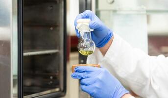 Young scientist in a research laboratory creating a scientific experiment, laboratory concept photo