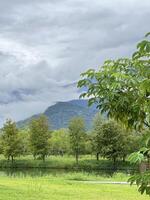 Tropical Mountain Scenery with Mist and Lush Greenery photo