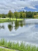 Scenic View of a Serene Lake with Lush Forest and Mist-Shrouded Mountains photo