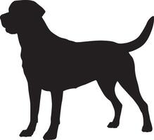 Sleek Black Labrador Retriever Dog Silhouette Isolated on a White Background vector