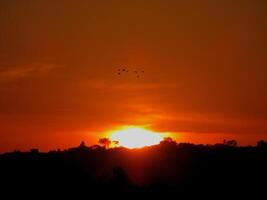 The beautiful appearance of sun rising behind clouds and sun rays coming down to a dense forest photo