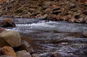 Running water of a mountain creek among rocky stones photo
