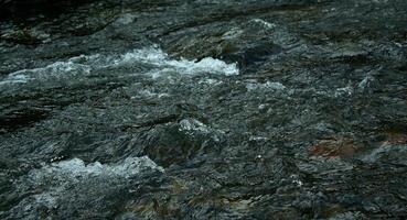 Small River Breaker With Clear Cold River Water Side View Closeup Photo