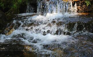 Splashes and drops of water in a small waterfall on a mountain stream in the forest photo