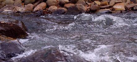 Fast Running Water Of Mountain Stream Between Wet Round Stones photo