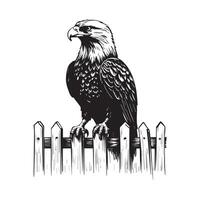 Majestic Bald Eagle Sitting on a White Wooden Picket Fence - Stock Illustration Isolated on White Background vector