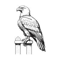 Eagle Sitting on a White Wooden Picket Fence - Stock Illustration Isolated on White Background vector