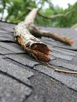 A fallen tree on a damaged roof after a storm. photo