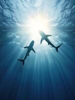 Silhouettes of blue sharks glide beneath the ocean surface. photo