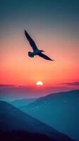 Silhouette of bird against a mountain sunset horizon. photo