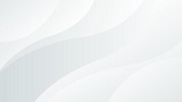 Abstract gray and white curve background, white dynamic wallpaper with wave shapes. vector