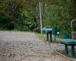 Park with empty benches on a summer day photo