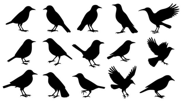 Assorted black bird silhouettes, versatile elements for design and artwork. vector