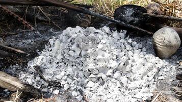 Ash Pile from Burned Coconut Shells in Natural Outdoor Setting on a Hot Sunny Day photo