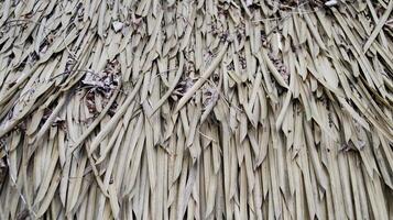 Close-up of Straw or Dry Coconut Leaves Forming a Natural Background with Detailed Texture and Organic Patterns photo