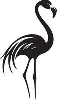 a black and white silhouette of a flamingo vector
