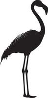 a black silhouette of a flamingo standing on a white background vector