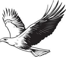 a black and white drawing of an eagle flying vector