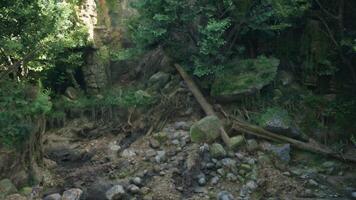 A massive rock formation in the heart of an Australian forest. mountain path video