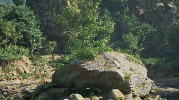 A massive boulder on the riverbank in Australia. mountain path video
