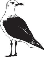 a black and white drawing of a seagull vector