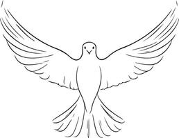 a black and white drawing of a dove vector