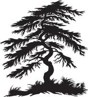 silhouette of a cedar tree vector