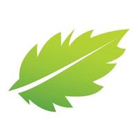 Illustration Design of leaf icon. nice green gradient leaf design. vector