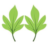 green leaf design, flat design style of leaves vector