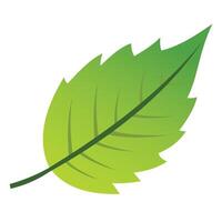 Illustration Design of leaf icon. leaf icon design with green gradient color. combination of flat design and gradient vector