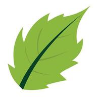 Illustration Design of green leaf theme, flat design of nice green leaf icon vector