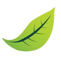 Illustration Design of leaf icon. leaf icon design. icon design of a green leaf. leaf like falling from above vector