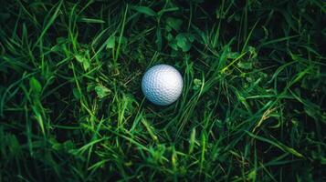 A golf ball is sitting in the grass photo